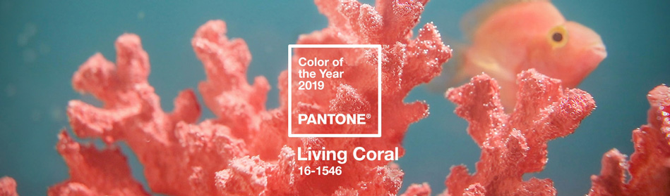 Pantone Trendfarbe 2019 Living Coral | Aksis